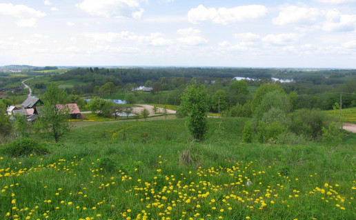 46. Nuo apžvalgos aikštelės ant Gelionių kalvos.jpg